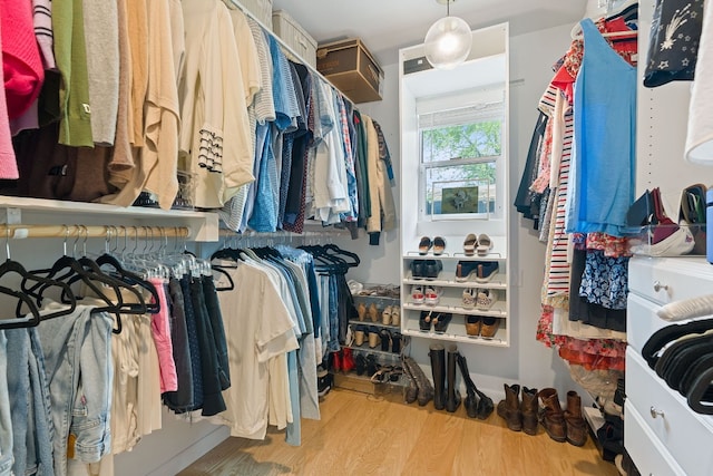 spacious closet with wood-type flooring