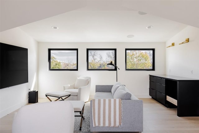 living room featuring light hardwood / wood-style floors