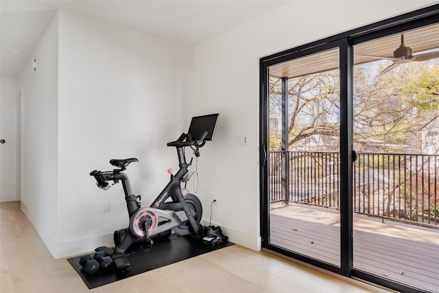 exercise room featuring light wood-type flooring