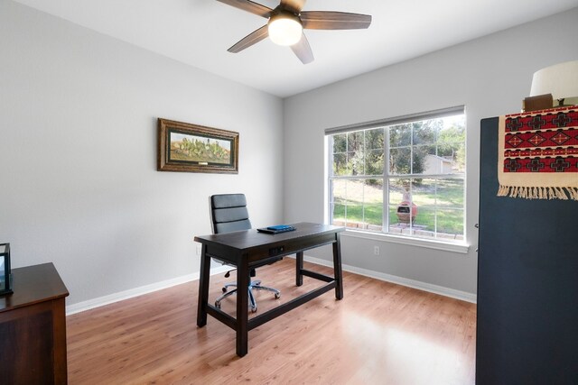 office with ceiling fan and light hardwood / wood-style flooring