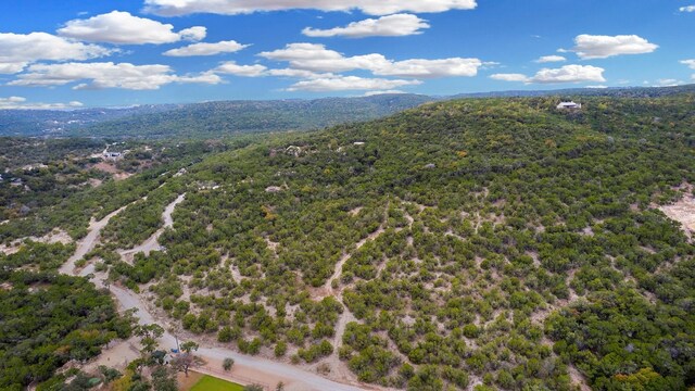 drone / aerial view with a mountain view