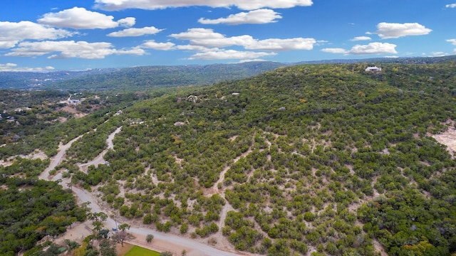 birds eye view of property featuring a forest view and a mountain view