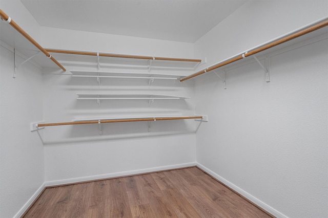 walk in closet with hardwood / wood-style floors