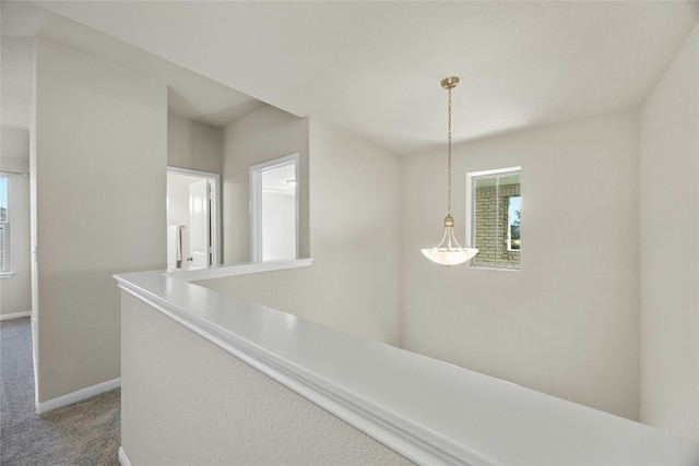 hallway with plenty of natural light and carpet floors