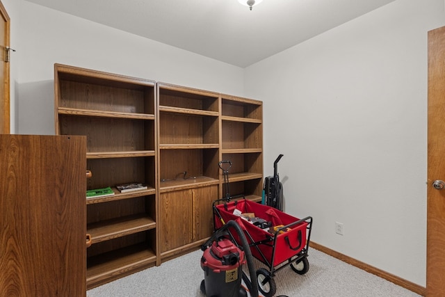 interior space with light colored carpet