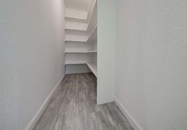 spacious closet with light hardwood / wood-style flooring