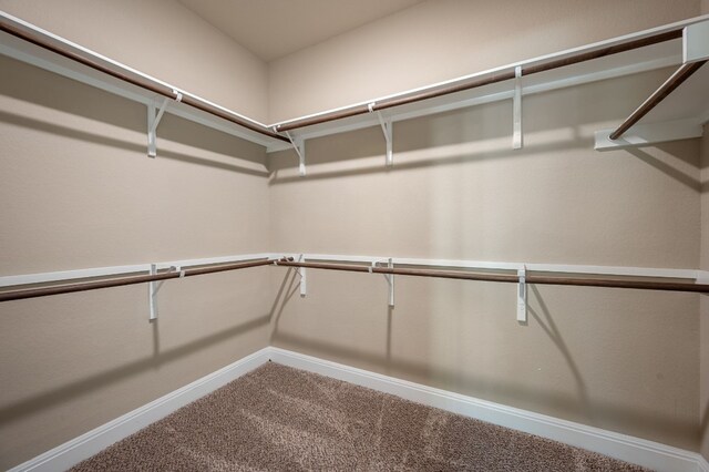 spacious closet with carpet flooring