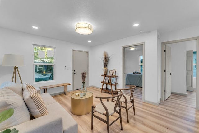 living room with light hardwood / wood-style floors