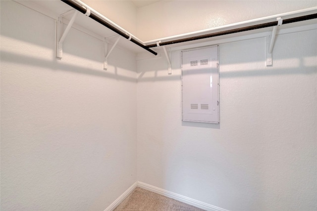 spacious closet with carpet flooring