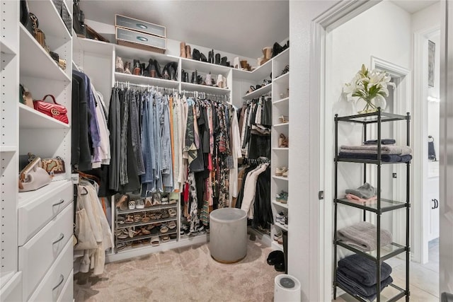 walk in closet with light carpet