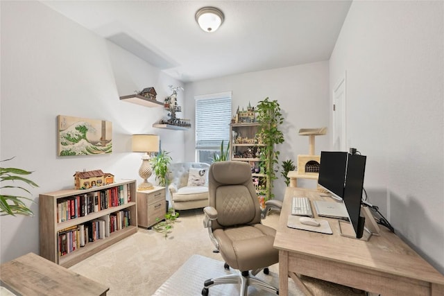 office area featuring carpet flooring