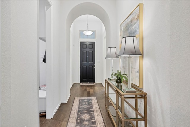 entryway featuring dark wood-type flooring