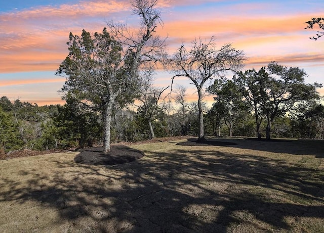 view of yard at dusk