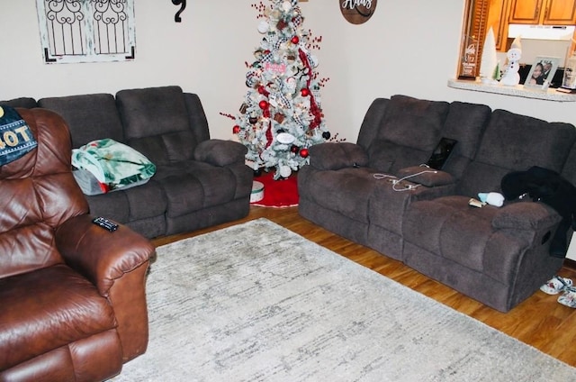 living room with hardwood / wood-style flooring