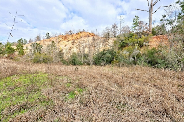 TBD Manawianui Dr, Bastrop TX, 78602 land for sale