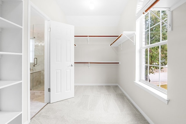 spacious closet with light carpet