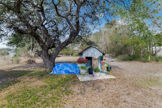 view of yard featuring a shed