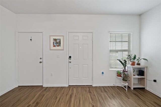 entryway with dark hardwood / wood-style flooring
