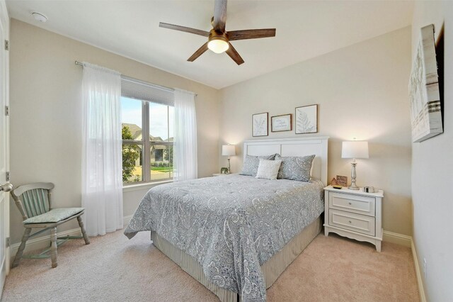 308 Teakmill Trl, San Marcos, TX 78666 - photo 21
