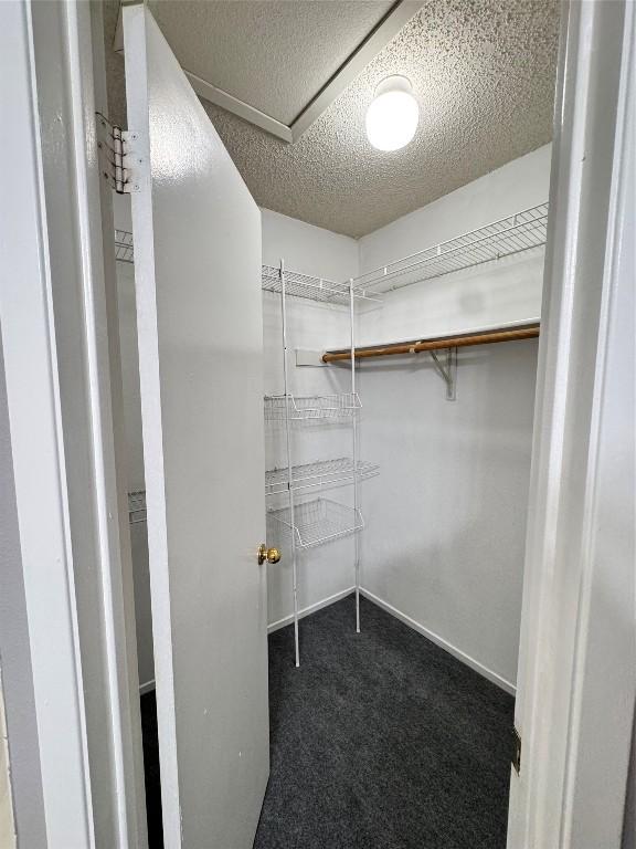 walk in closet featuring dark colored carpet