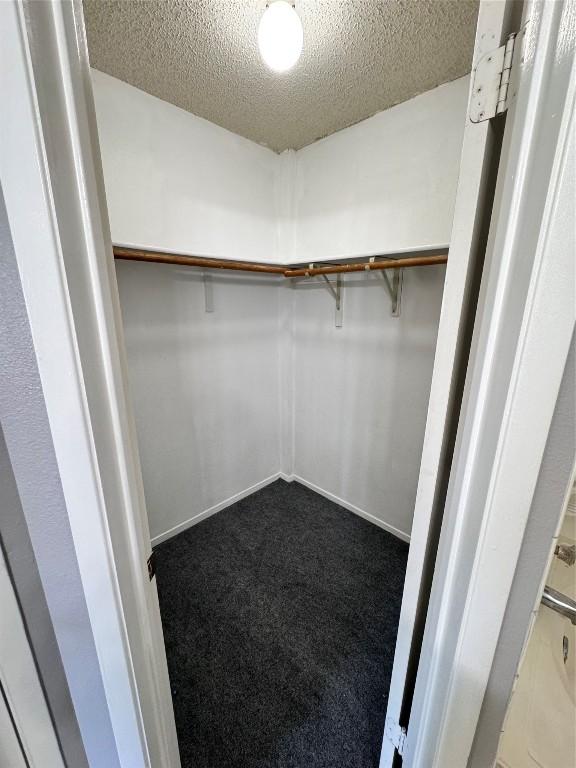 walk in closet featuring carpet