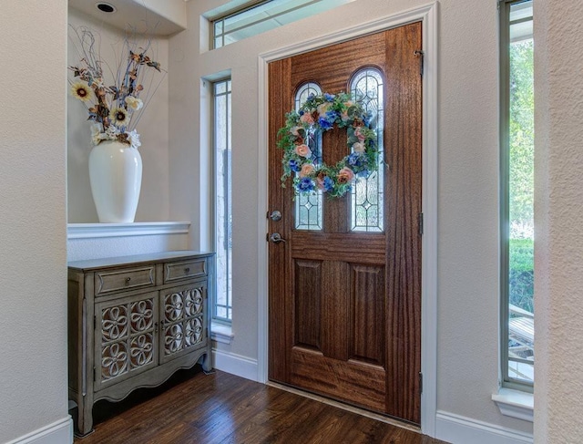 foyer entrance with a wealth of natural light and dark wood-type flooring