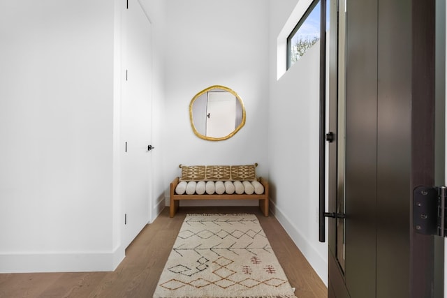 hall featuring wood-type flooring