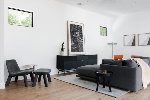 living room featuring light wood-type flooring