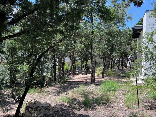 12001 Vista Parke Dr Unit 1202, Austin, TX 78726 - view of local wilderness