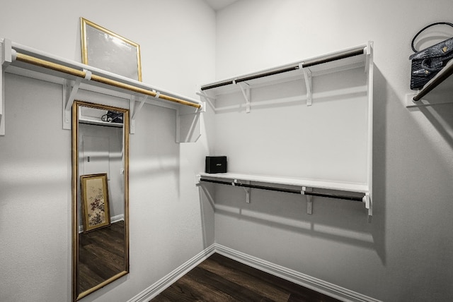 spacious closet with dark wood-type flooring