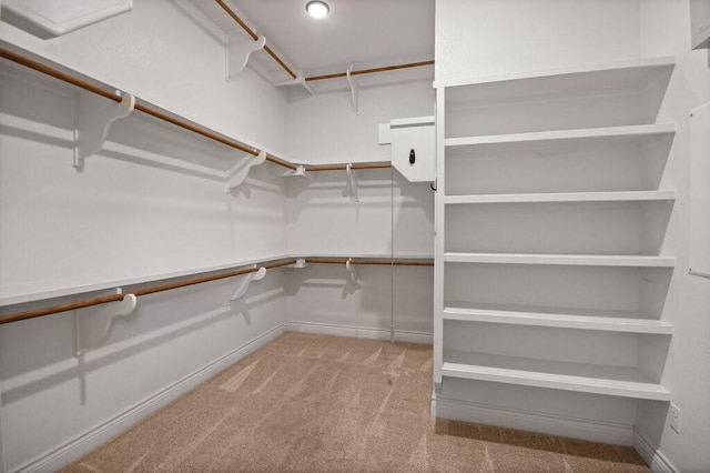 spacious closet featuring light carpet