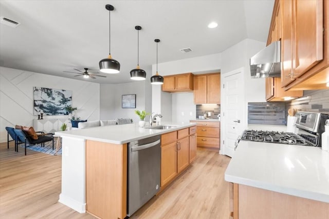 kitchen with sink, a kitchen island with sink, extractor fan, and stainless steel appliances