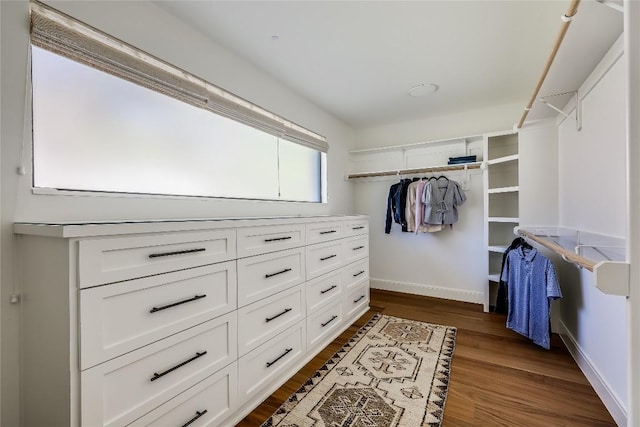 spacious closet with dark wood-type flooring