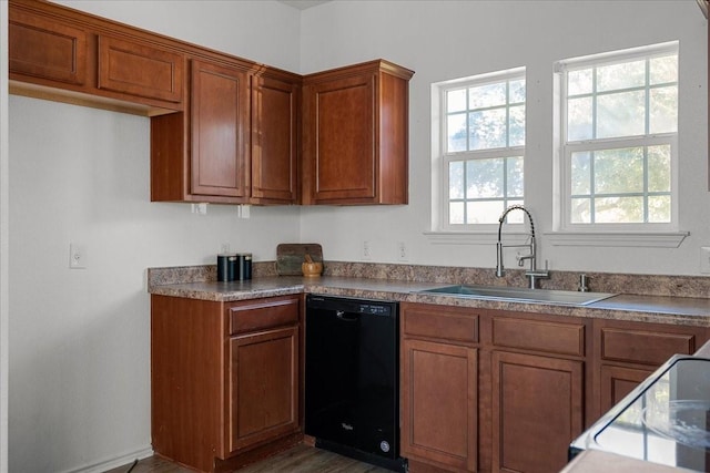 kitchen with dishwasher, sink, and dark hardwood / wood-style floors