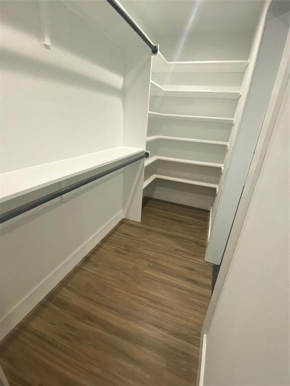 spacious closet with dark wood-type flooring