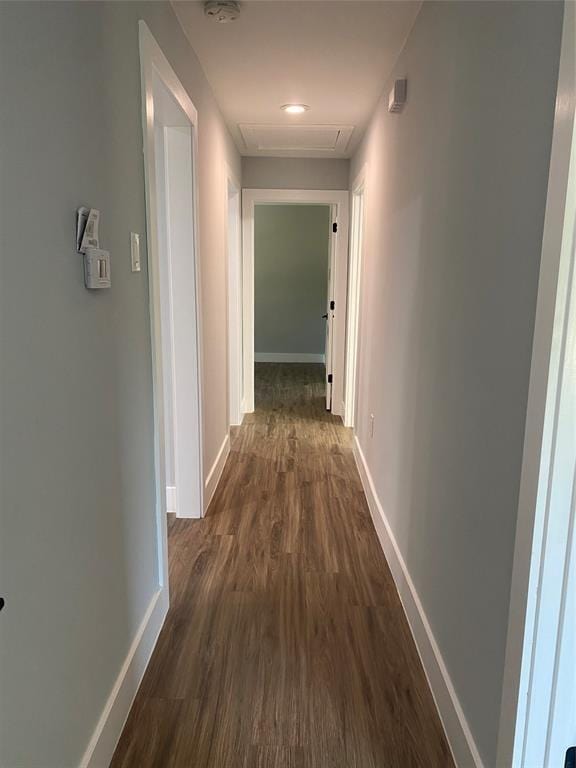 hallway with dark wood-type flooring