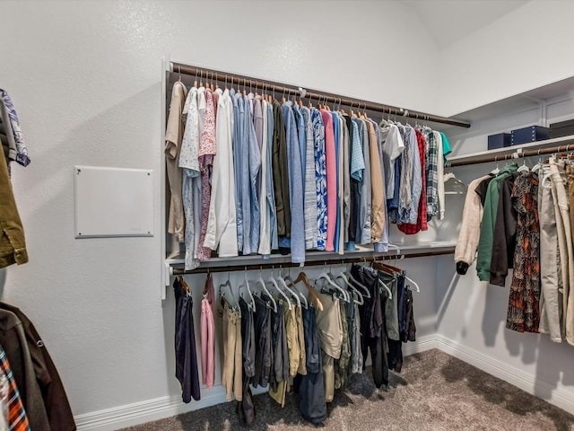 spacious closet with carpet