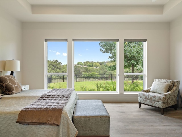 bedroom with light hardwood / wood-style flooring, a raised ceiling, and multiple windows