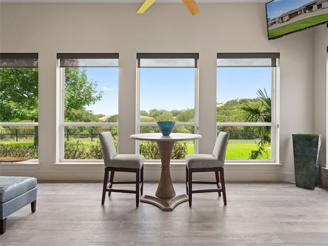 sunroom / solarium with plenty of natural light and ceiling fan