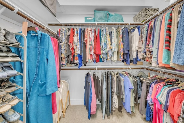 walk in closet with carpet