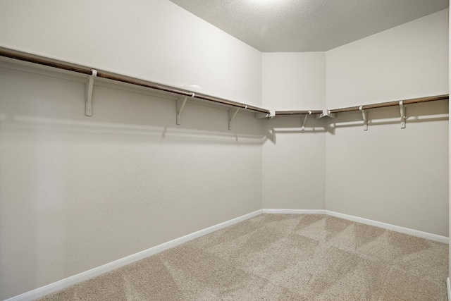 walk in closet with carpet floors