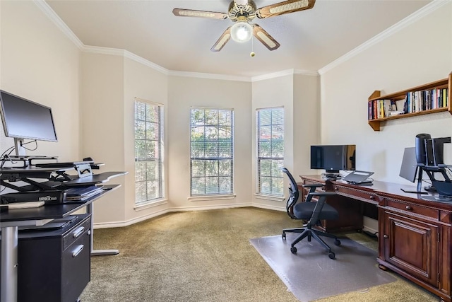 office space with ceiling fan, carpet, and ornamental molding