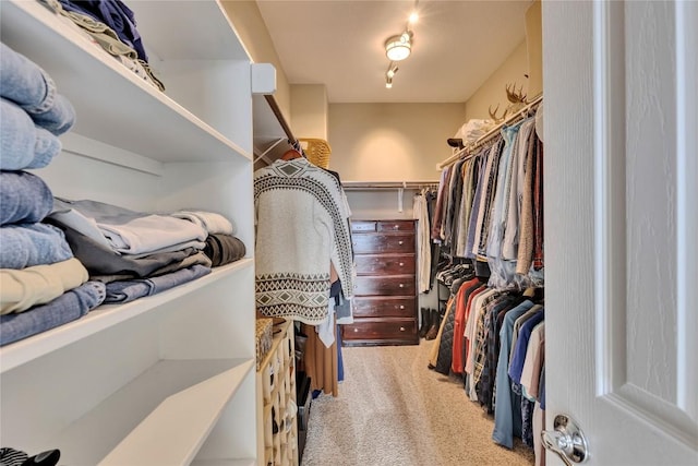 spacious closet featuring light colored carpet