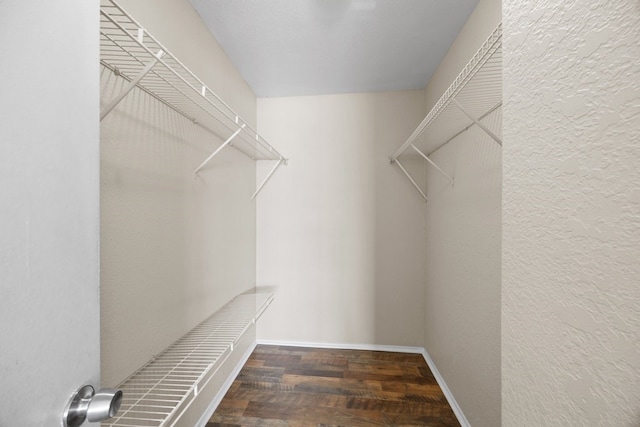 walk in closet with dark wood-type flooring