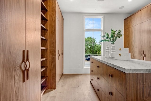 spacious closet with light wood-type flooring