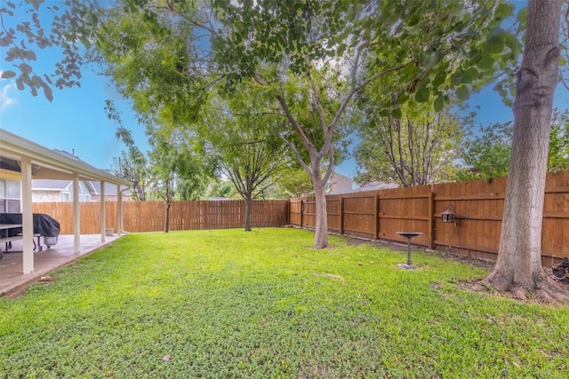 view of yard featuring a patio