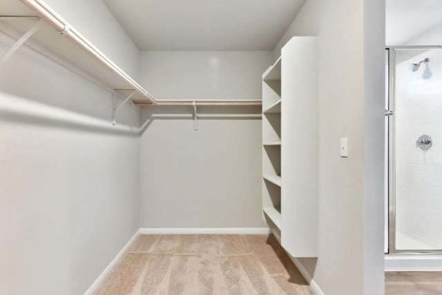 spacious closet with light carpet