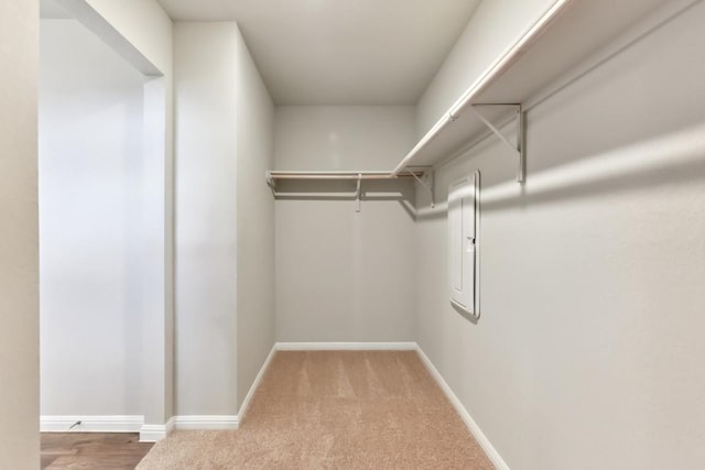 spacious closet with carpet