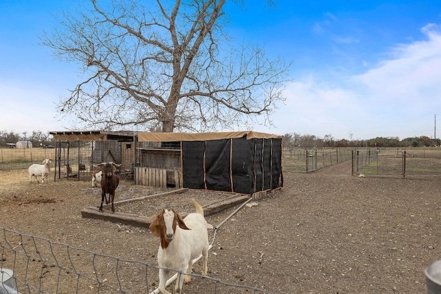 view of stable with a rural view