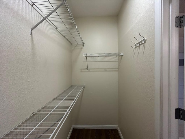 walk in closet with wood finished floors